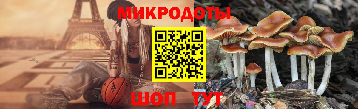 Галлюциногенные грибы Magic Shrooms  Ржев  Галлюциногенные грибы Psilocybe 